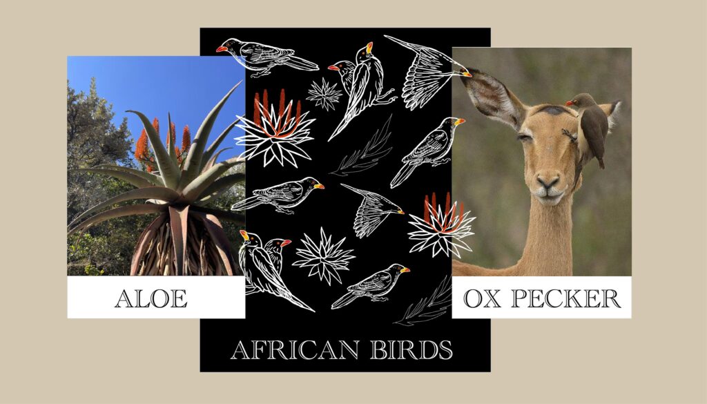 African Bird Pattern Design