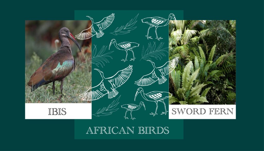African Bird Pattern Design