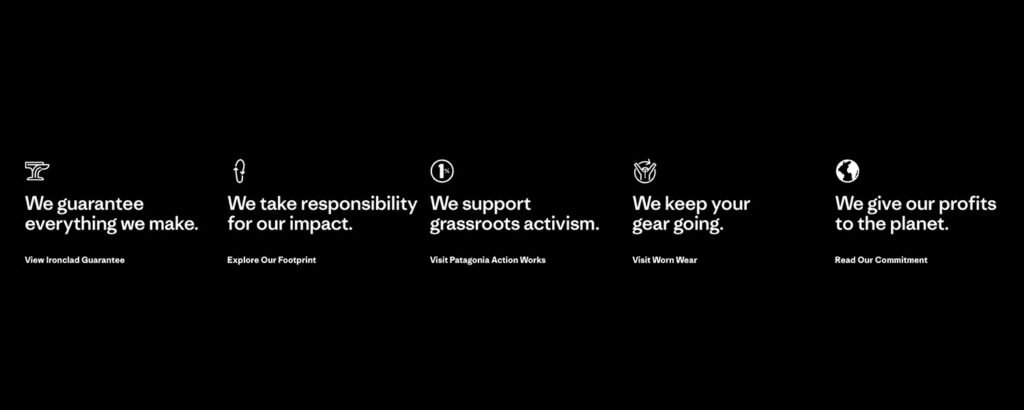 Patagonia Brand Values