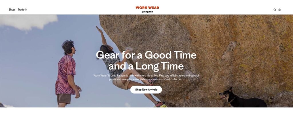 Patagonia Brand Values